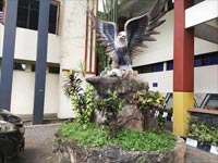 Afternoon Class Program UBHINUS Nomor Home Photo 1